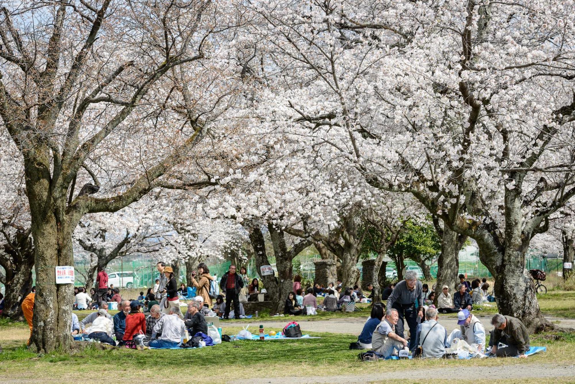 Gojozaka Samurai Machiya เกียวโต ภายนอก รูปภาพ